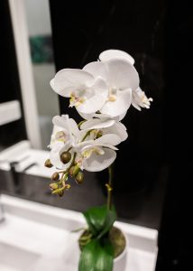 Orquídea blanca decorativa en el baño de Casa Señorial Rivadavia